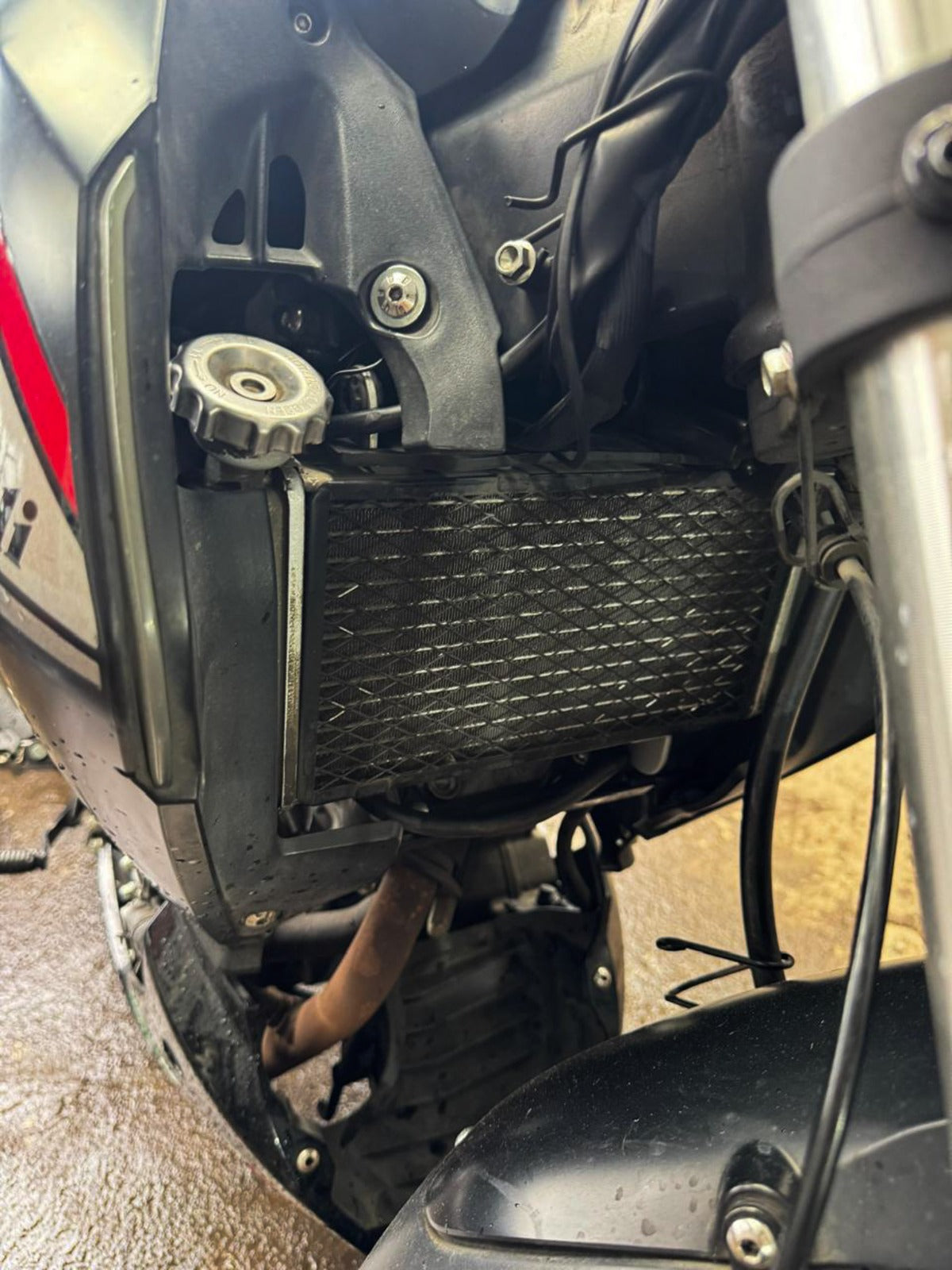 Benelli 180 2022